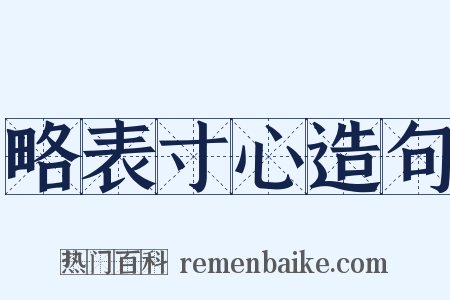 略表寸心造句是什么意思的图片